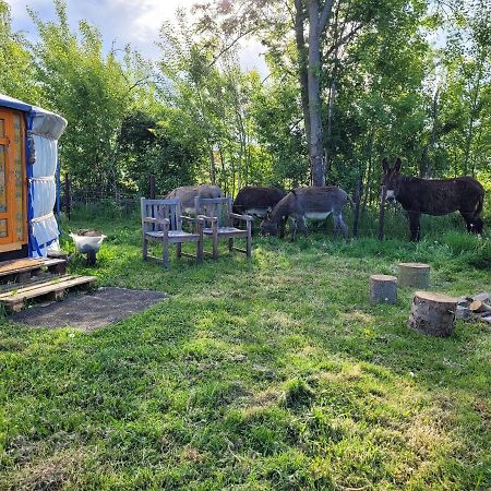 Slapen Tussen De Ezels In De Yurt Hotel Aarschot Eksteriør billede