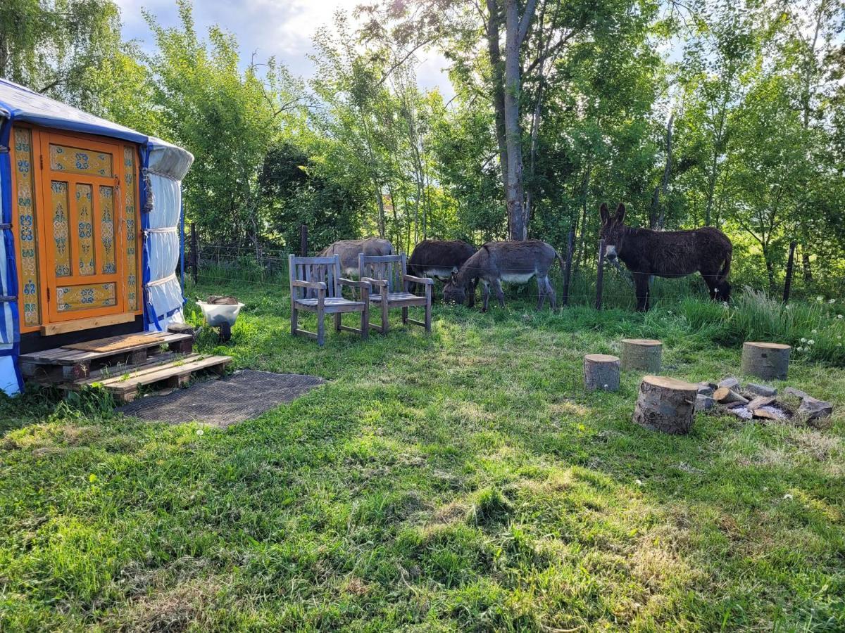 Slapen Tussen De Ezels In De Yurt Hotel Aarschot Eksteriør billede
